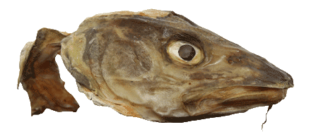 Stockfish Head (10.99/lbs)