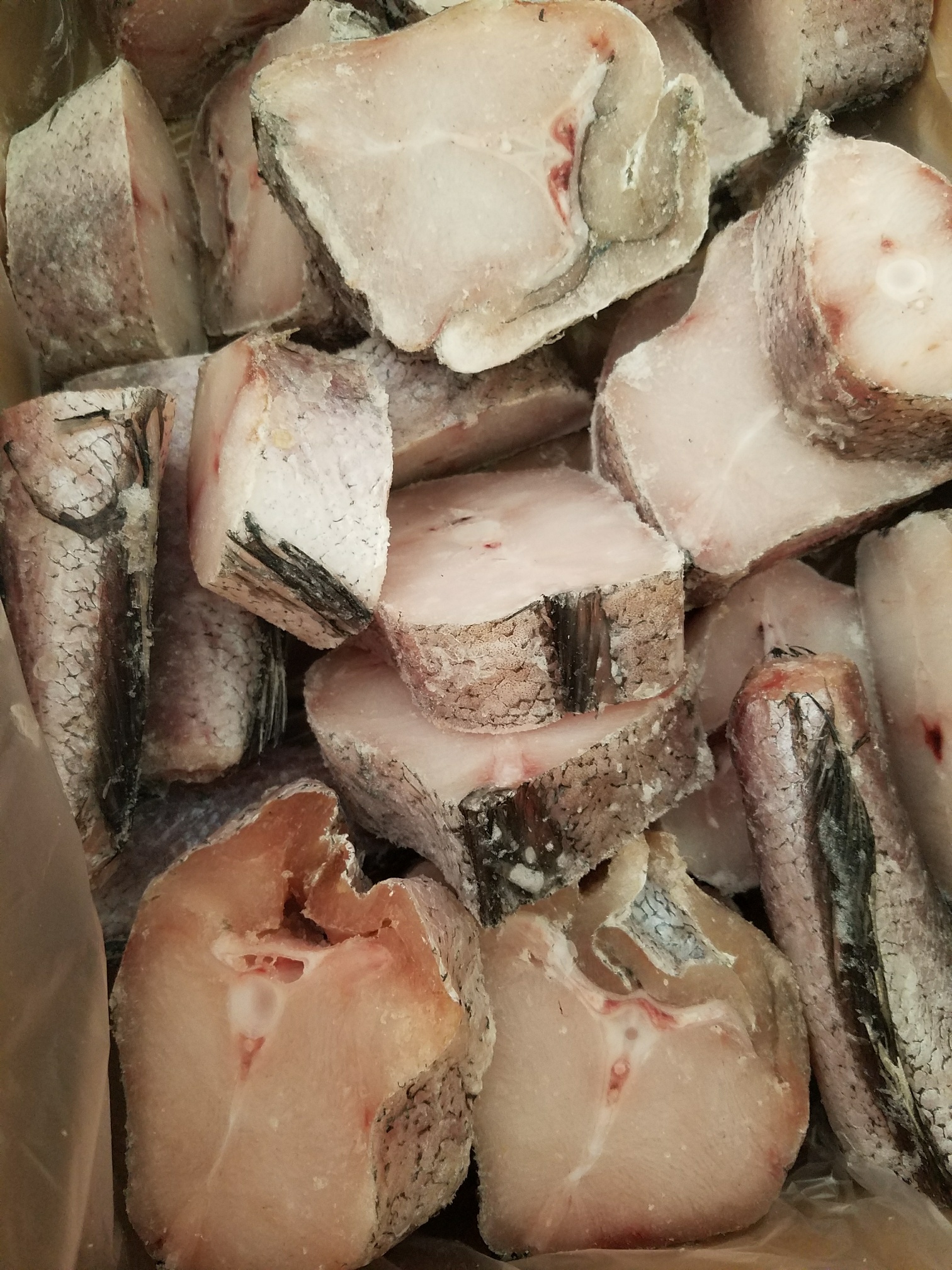 Fresh Stockfish Big Box 